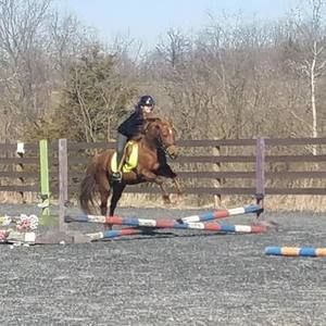 Meet your Posher, Grace